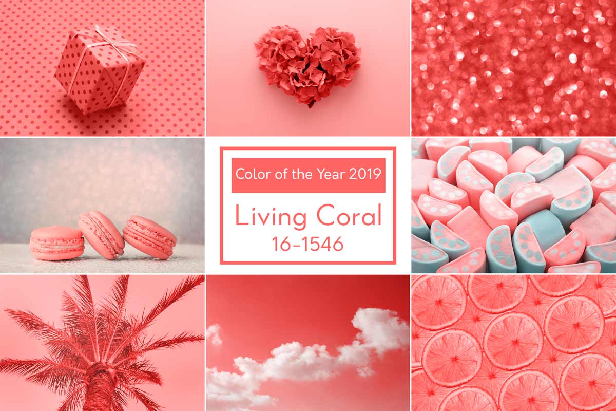 Coral 2019